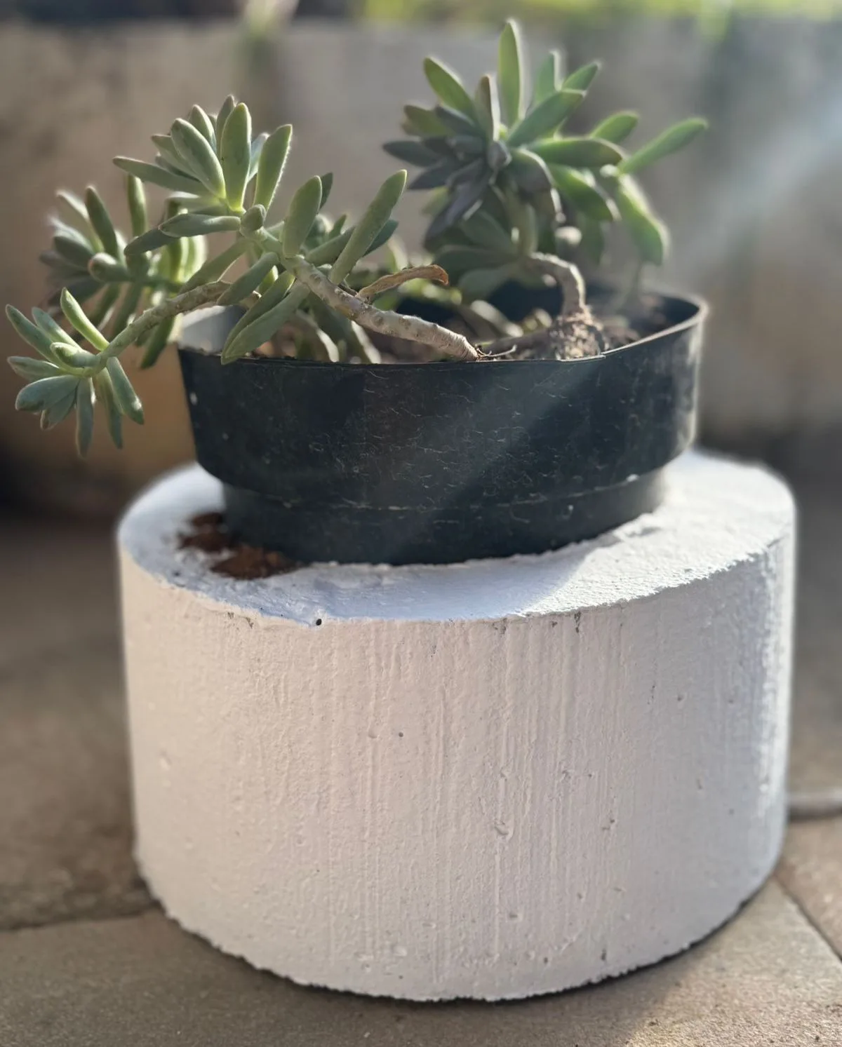Suportes de concreto para vasos e mudas